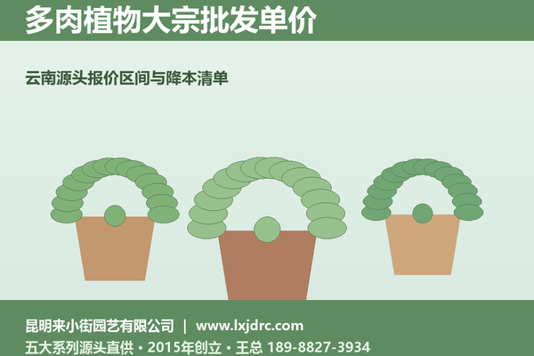 云南多肉源头厂家的大宗报价，淡旺季差多少？